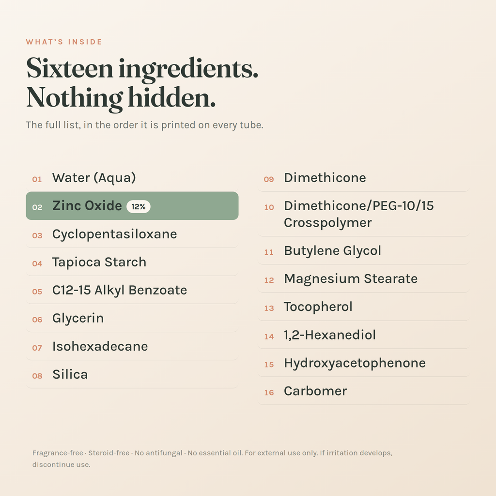 The full ingredient list of The Daily Fold Cream: sixteen ingredients in the order printed on the tube, zinc oxide at 12% second on the list.